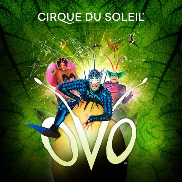 Cirque Du Soleil – Ovo